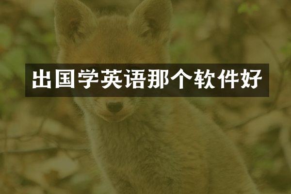 出国学英语那个软件好