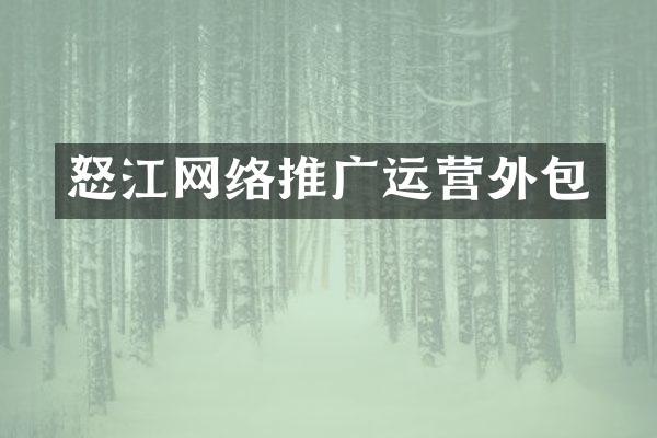 怒江网络推广运营外包