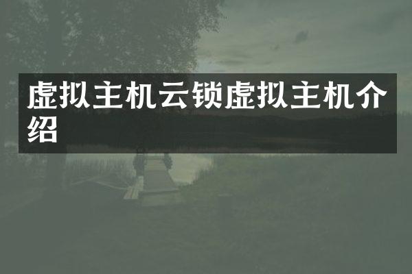 虚拟主机云锁虚拟主机介绍
