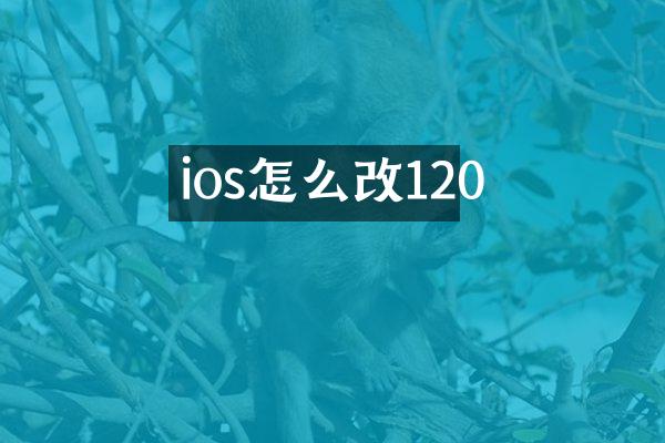 ios怎么改120
