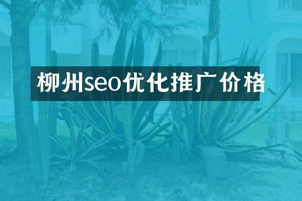 柳州seo优化推广价格