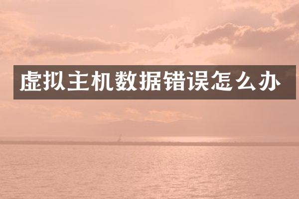 虚拟主机数据错误怎么办