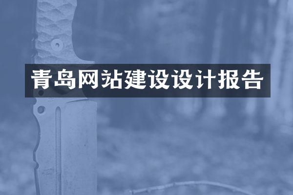 青岛网站建设设计报告