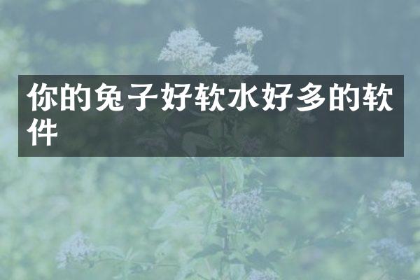 你的兔子好软水好多的软件