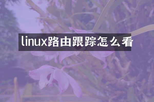 linux路由跟踪怎么看