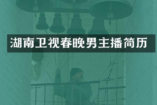 湖南卫视春晚男主播简历