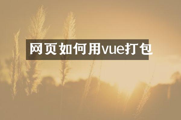 网页如何用vue打包