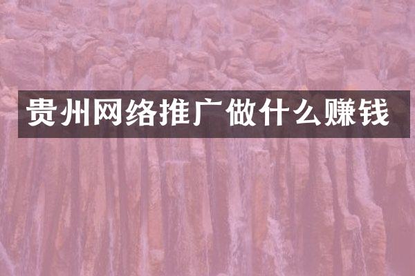 贵州网络推广做什么赚钱