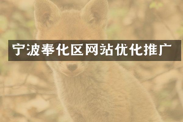 宁波奉化区网站优化推广