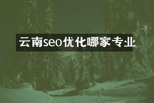 云南seo优化哪家专业