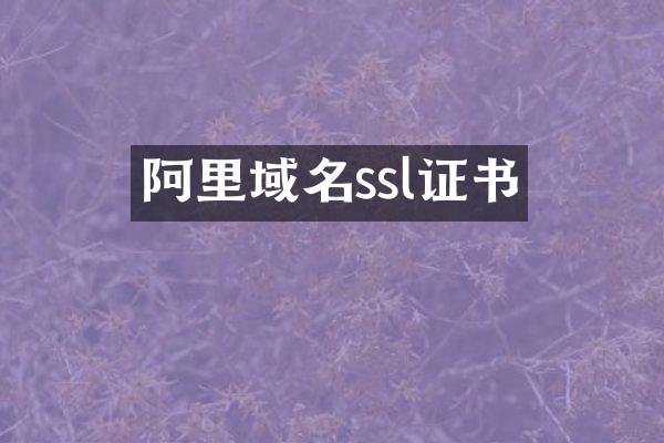 阿里域名ssl证书