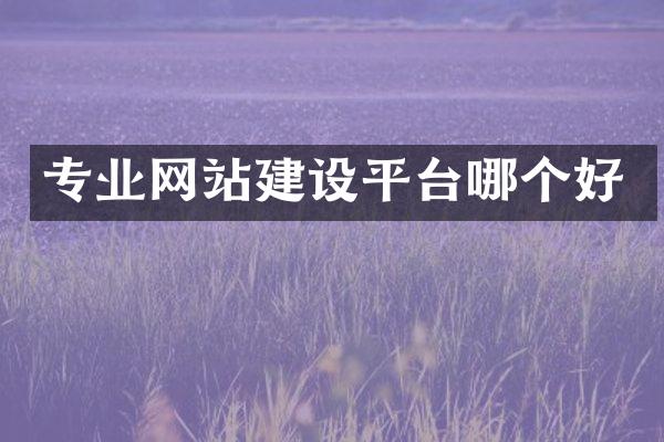 专业网站建设平台哪个好