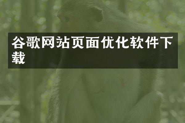谷歌网站页面优化软件下载
