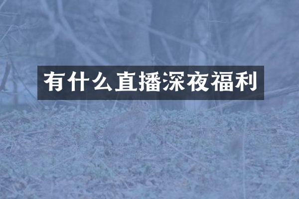有什么直播深夜福利