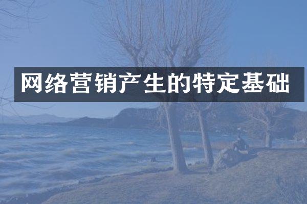 网络营销产生的特定基础