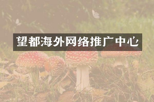 望都海外网络推广中心
