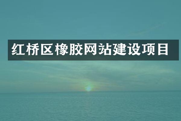 红桥区橡胶网站建设项目