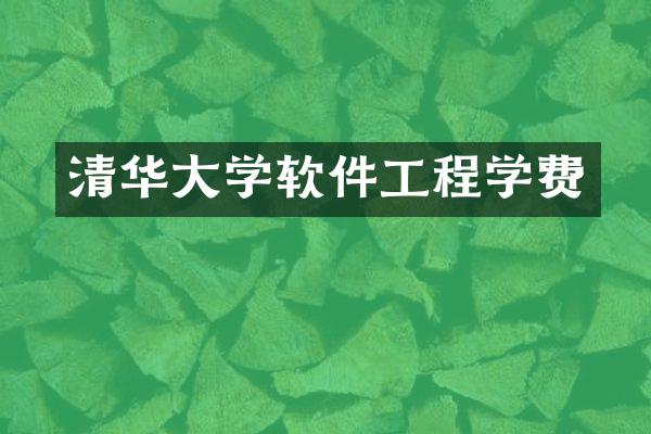 清华大学软件工程学费