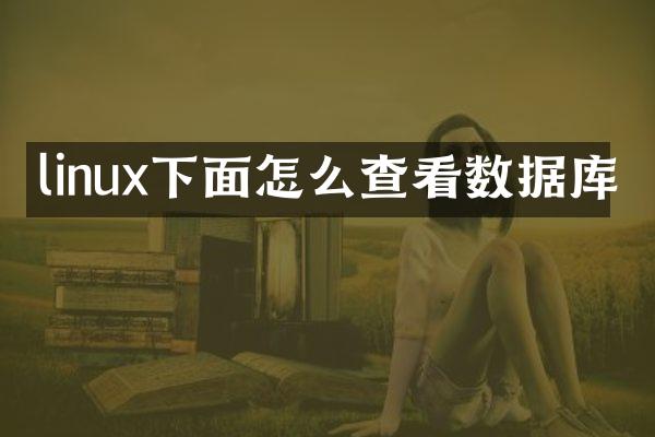 linux下面怎么查看数据库