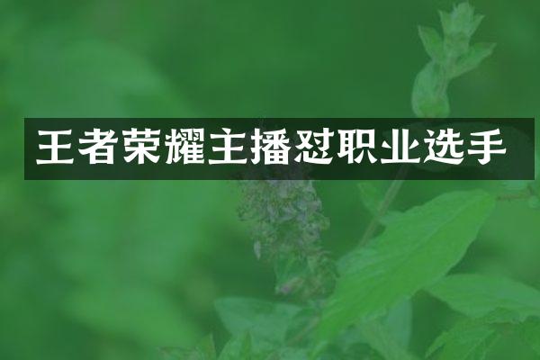 王者荣耀主播怼职业选手