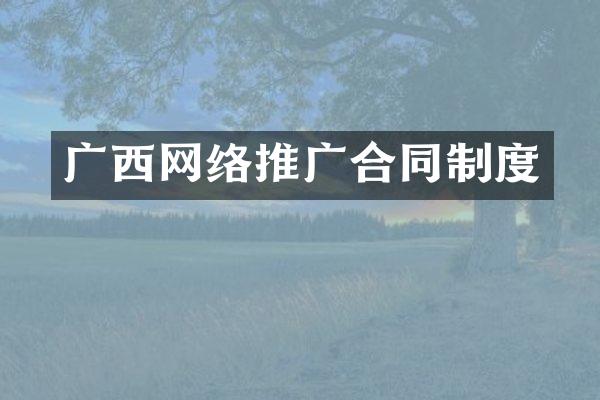 广西网络推广合同制度