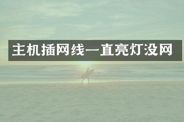 主机插网线一直亮灯没网