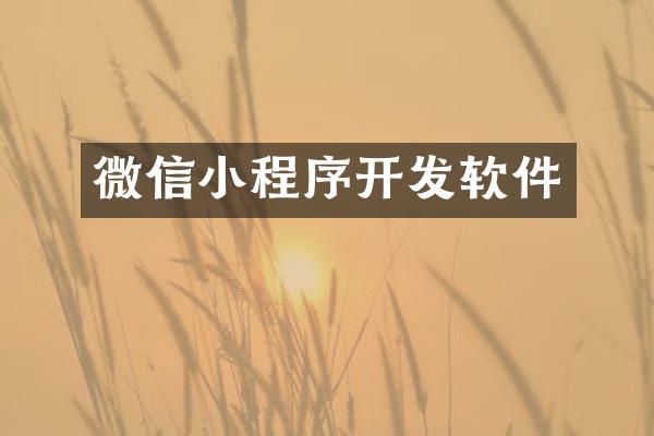 微信小程序开发软件