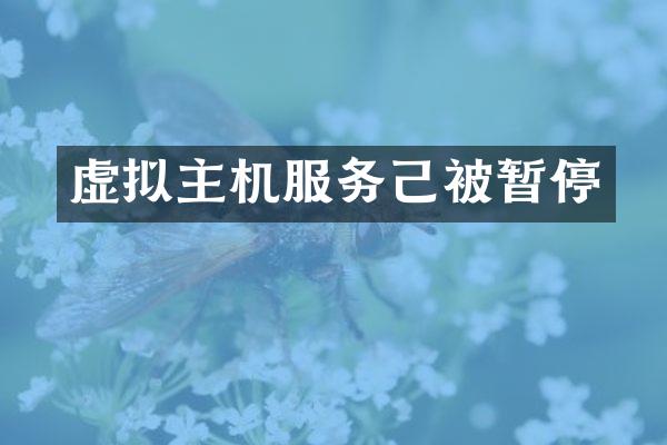 虚拟主机服务己被暂停