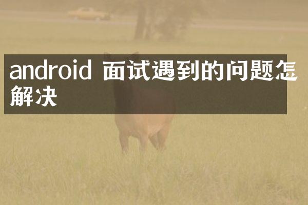android 面试遇到的问题怎么解决
