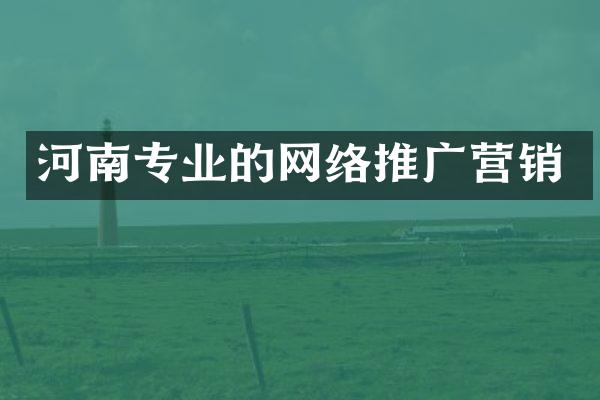河南专业的网络推广营销