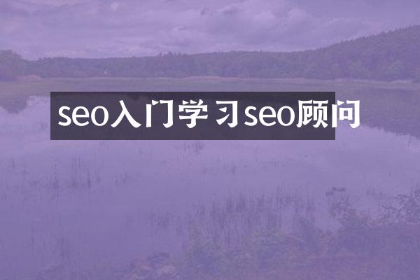 seo入门学习seo顾问