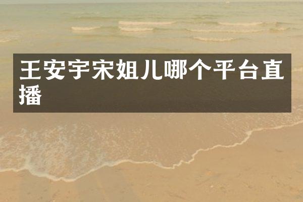 王安宇宋姐儿哪个平台直播