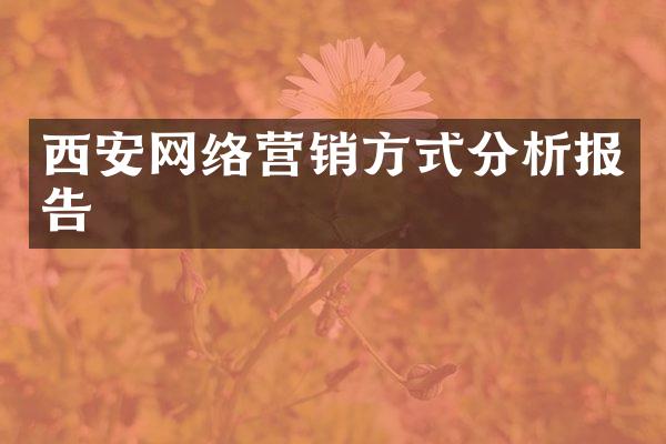 西安网络营销方式分析报告