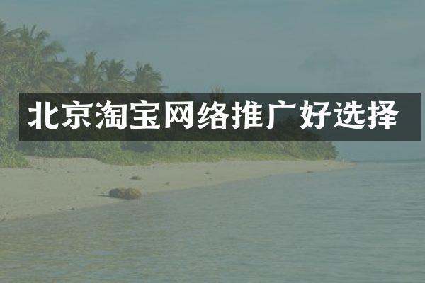 北京淘宝网络推广好选择