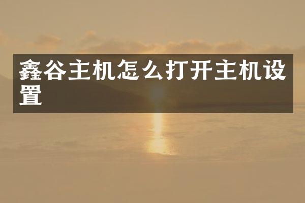 鑫谷主机怎么打开主机设置