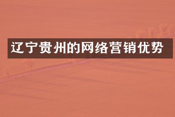 辽宁贵州的网络营销优势
