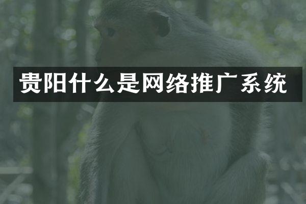贵阳什么是网络推广系统