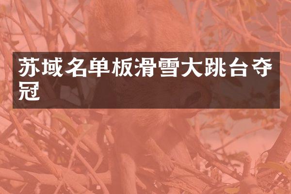 苏域名单板滑雪大跳台夺冠