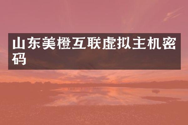 山东美橙互联虚拟主机密码