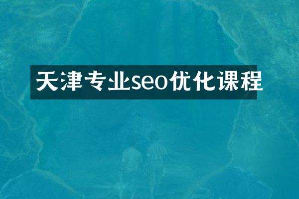 天津专业seo优化课程