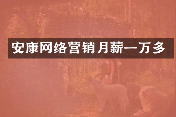 安康网络营销月薪一万多
