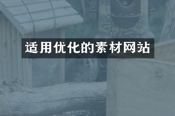 适用优化的素材网站