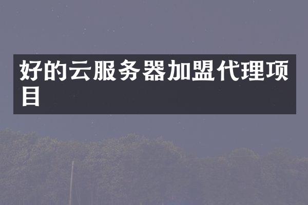 好的云服务器加盟代理项目