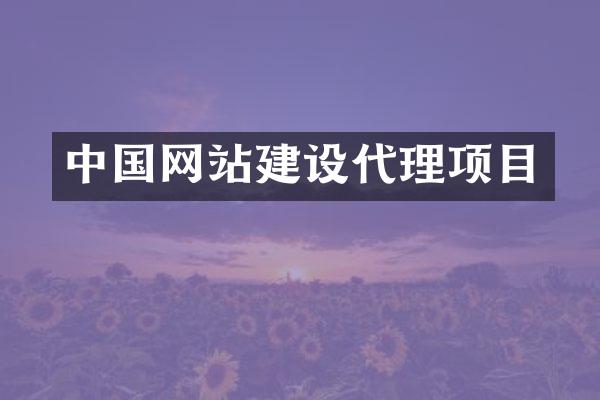 中国网站建设代理项目