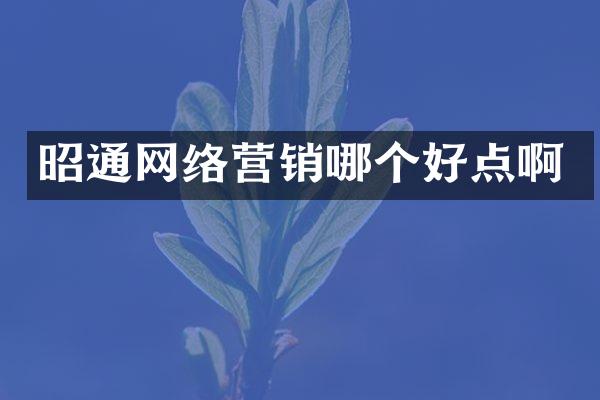 昭通网络营销哪个好点啊
