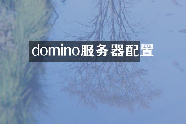 domino服务器配置