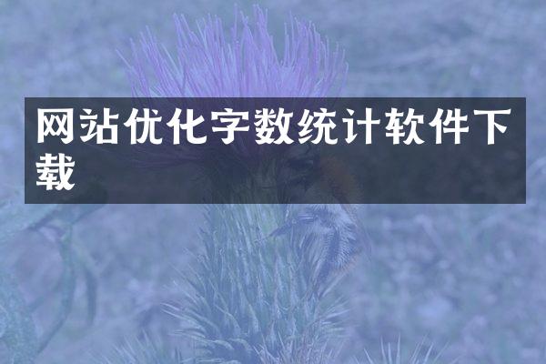 网站优化字数统计软件下载