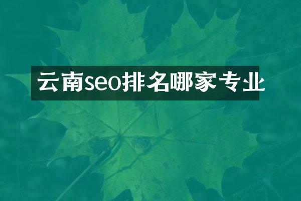 云南seo排名哪家专业