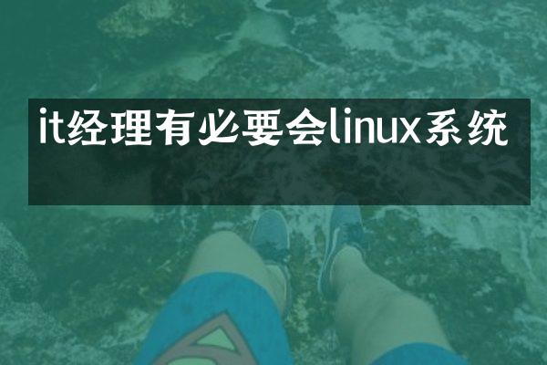 it经理有必要会linux系统吗