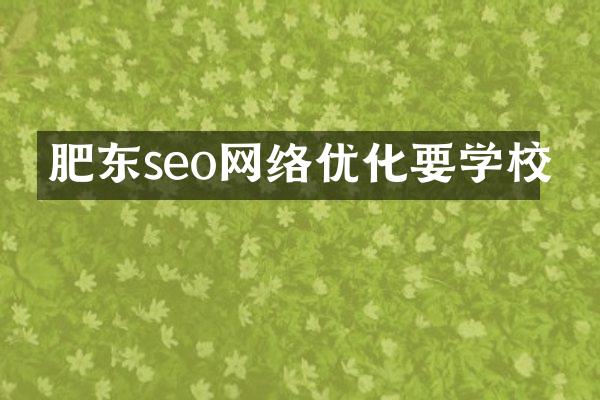肥东seo网络优化要学校